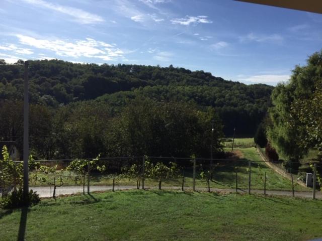 Kuca Za Odmor "Nedeljko"/ Holliday Hause "Nedeljko" Villa Sveti Martin Na Muri Esterno foto